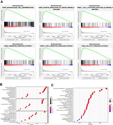 Critical role of guanylate binding protein 5 in tumor immune microenvironment and predictive value of immunotherapy response